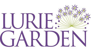 Lurie Garden16