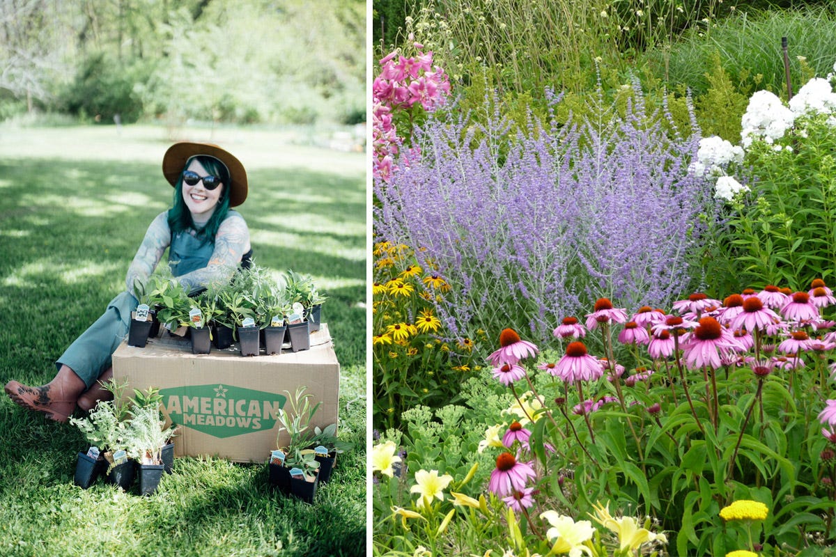 Favorite flowers from our customer Kaylah's Summer Long Blooms Pre-Planned Garden include Echinacea, Phlox, Russian Sage, Black Eyed Susans, Daylilies, Sedum, and more!
