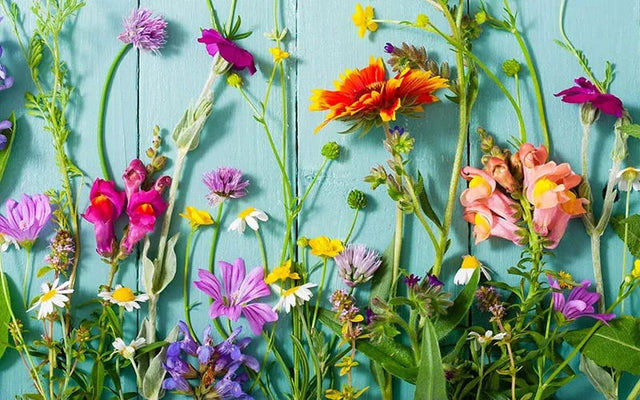 Meadowscaping Makes It Better