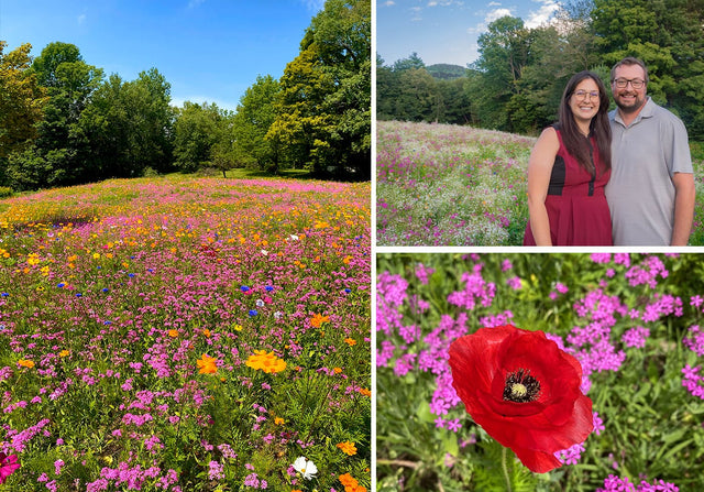 A collage of Natalie and Jonathan and their amazing wildflower meadow