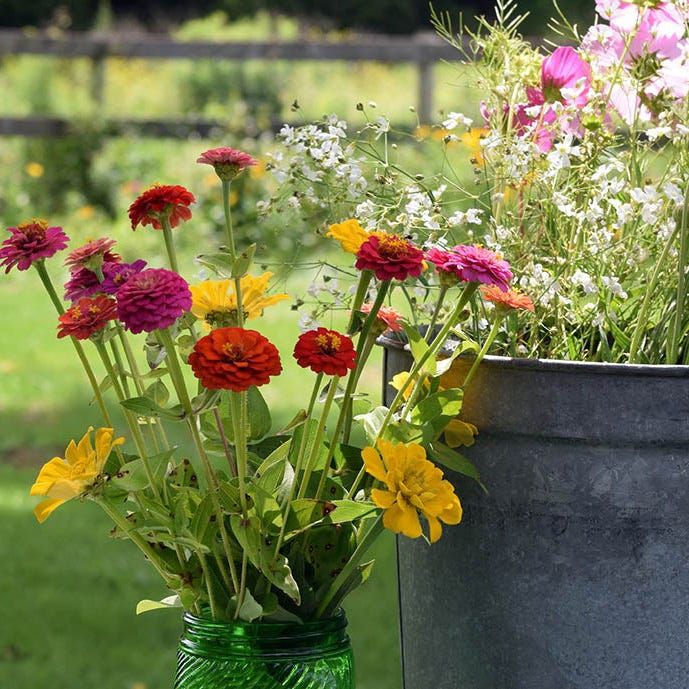 bouquet flower seeds Bouquets For Days Wildflower Seed Mix